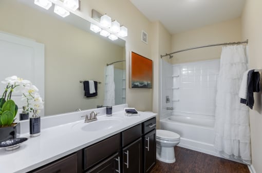 a bathroom with a sink and a toilet and a shower