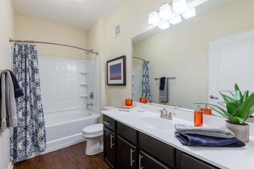 a bathroom with a sink and a shower and a toilet