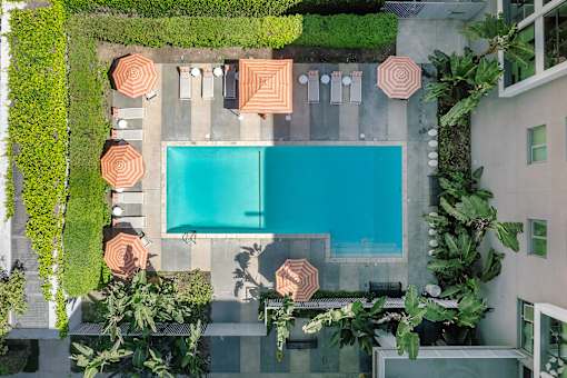 A swimming pool surrounded by greenery and concrete.