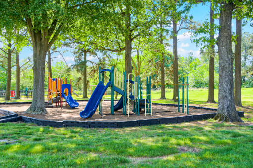 a playground with slides and monkey bars in a park