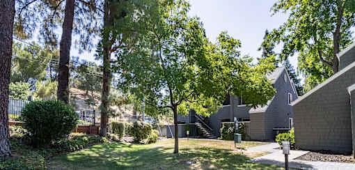 A modern house surrounded by trees.