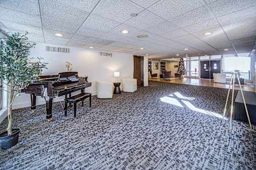 A room with a piano and a tree.