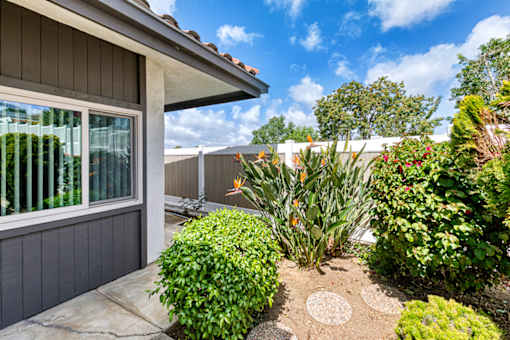 A sunny day with a house and a garden in the foreground.