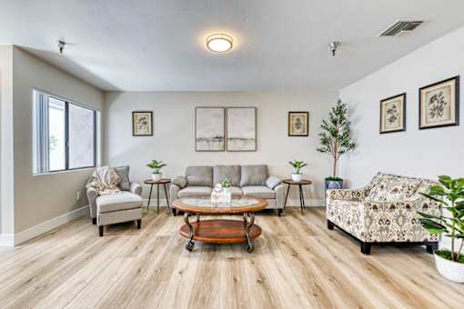 A living room with a grey couch, a wooden coffee table, and a potted plant.