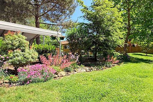 A garden with a variety of plants and a house in the background.