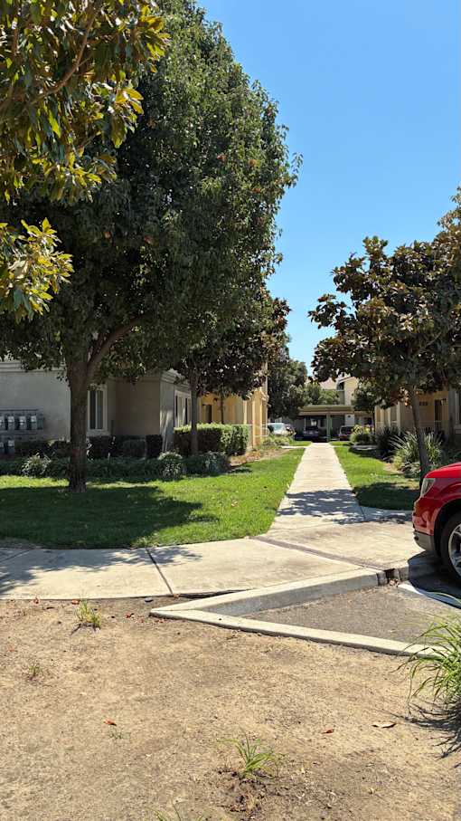 A tree-lined street with a red car parked on the side.