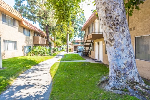 Walking Path area at Canyon Club Apartments, California