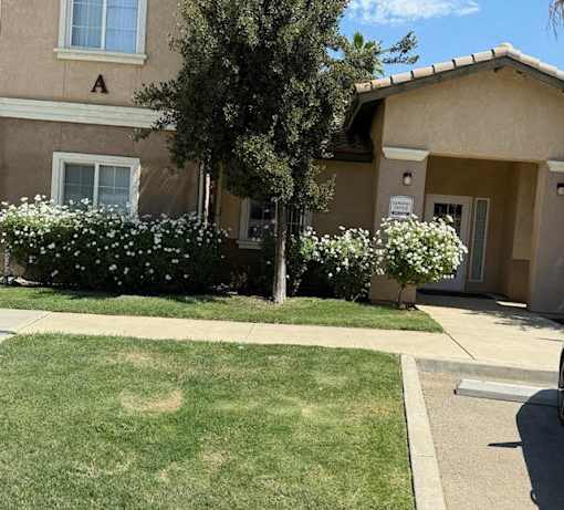 A beige house with a tree and bushes in front.