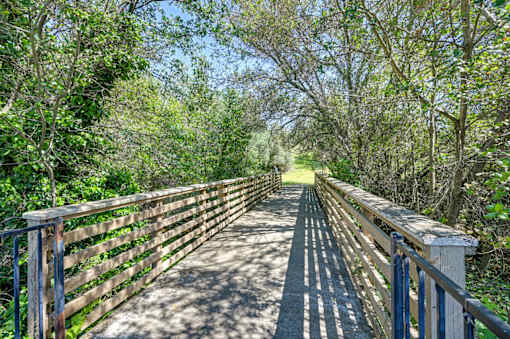 A wooden bridge with metal railings leads through a lush green forest.
