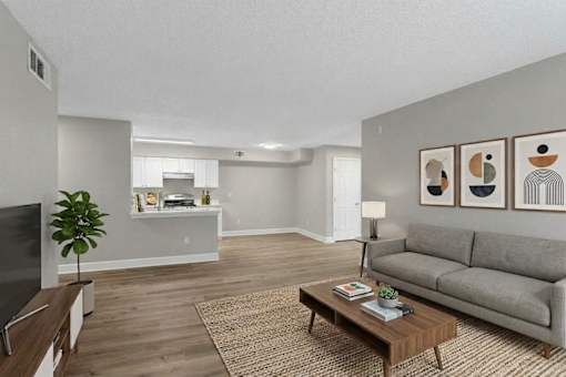 A living room with a grey couch, a coffee table, and a television.
