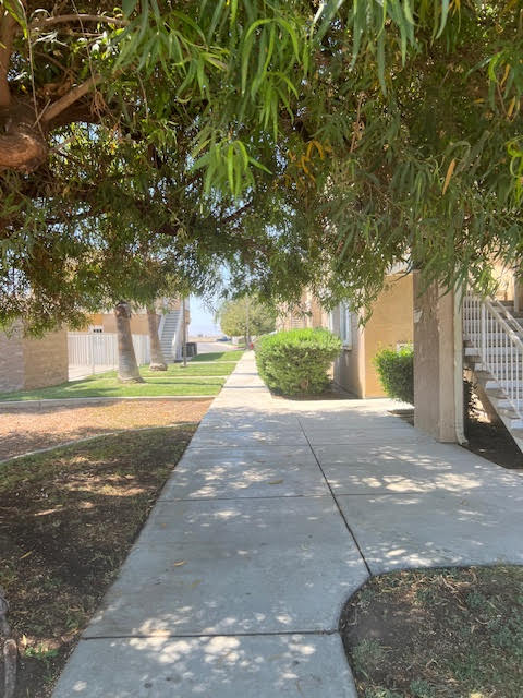 A tree branch hangs over a sidewalk.