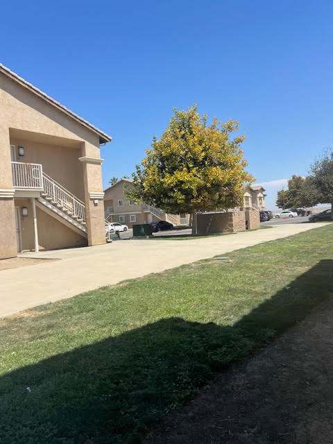 A tree with yellow leaves is in front of a building.