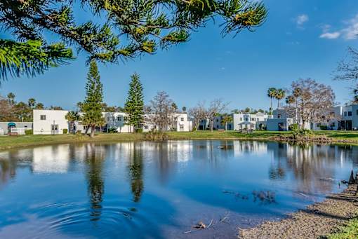 A serene lake surrounded by trees and buildings under a clear blue sky.