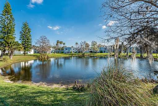 A serene landscape with a pond, trees, and a clear blue sky.