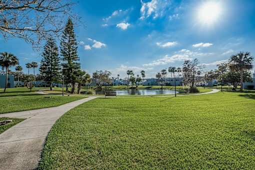 A sunny day in a park with a pond and palm trees.