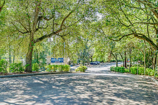 A tree-lined street with a sign that says Springwood.