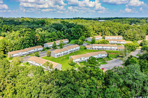 A bird's eye view of a residential area surrounded by green trees.