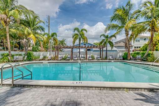 Swimming pool surrounded with trees at The Place at Davis Islands, Tampa, FL, 33606