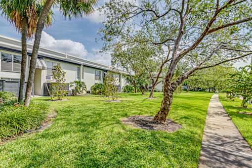 Lawn Area at The Place at Davis Islands, Tampa, FL