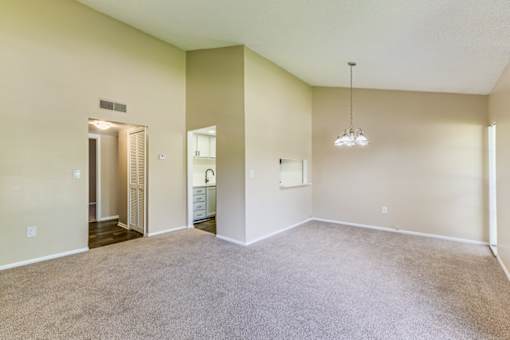 Spacious room with carpeted floor at The Place at Davis Islands, Tampa, FL, 33606