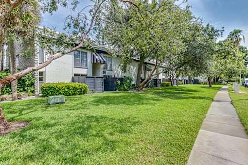 Green lawn area by the sidewalk at The Place at Davis Islands, Tampa, Florida