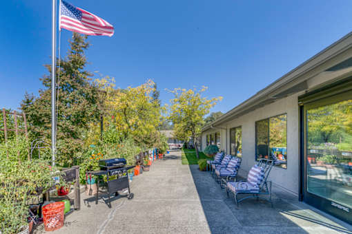 A row of purple chairs are lined up on a patio.