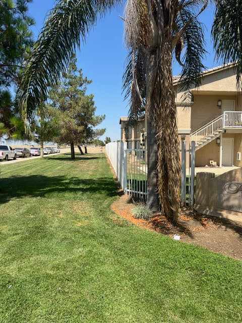 A tree in front of a building with a fence.