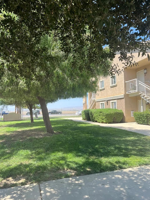 A tree in a grassy area in front of a building.