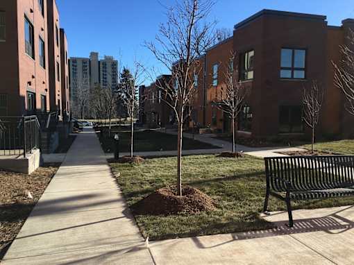 A tree is planted in a patch of dirt in front of a building.