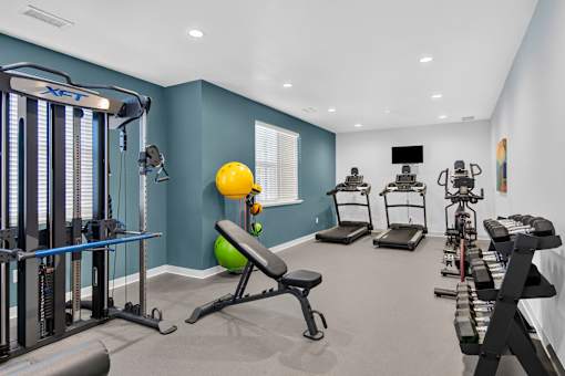 A well-equipped home gym with a variety of exercise machines.