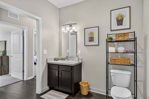 A bathroom with a white toilet and a sink with a mirror above it.