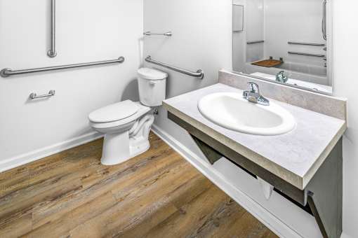 a bathroom with a sink and a toilet and a mirror