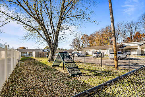 A playground with a slide and a tree in the background.