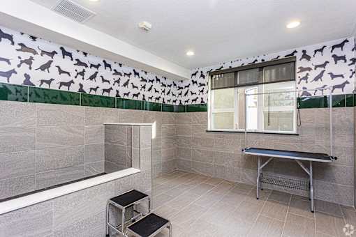 Pet wash station with grooming table at 128 on State