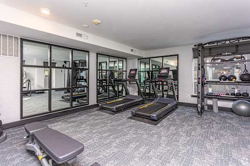 A gym with treadmills, weights, and exercise balls.