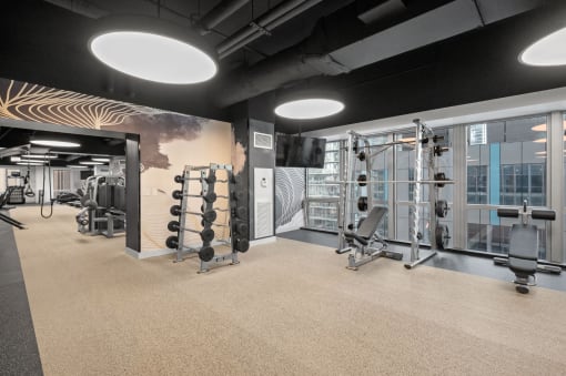 Weight training equipment in the Fitness Center at Shoreham and Tides Apartments, Chicago, IL, 60601
