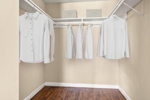Huge Closet at Chevy Chase in Austin, 78752