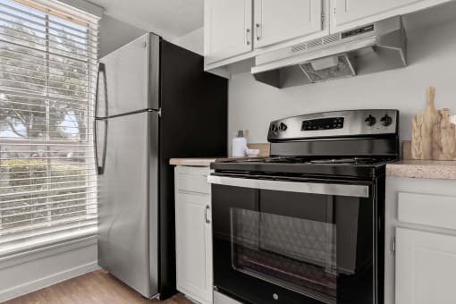 Stainless Steel Appliances at Chevy Chase in Austin, 78752