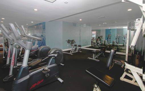 Fitness Center at MALA GROVE Apartments, Waipahu, HI,96797