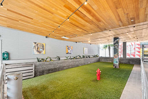 Onsite Dog Run at L Seven Apartments in San Francisco, CA 94103