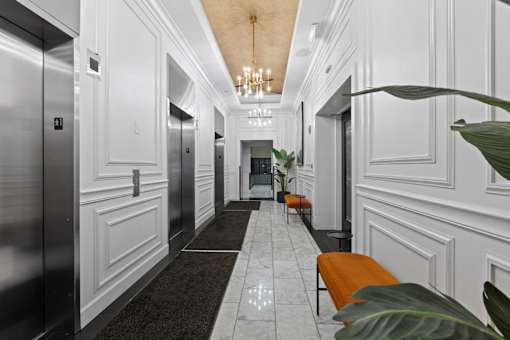 A long hallway with a bench and a plant.