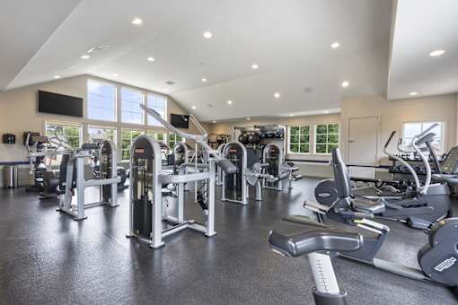 A spacious gym with a variety of equipment.
