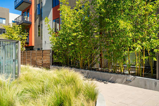 Exterior landscaping at Misora Apartments, California, 95128