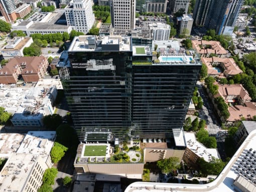 city at 903 Peachtree, Georgia