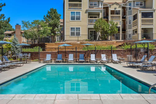 our apartments have a swimming pool with chairs and umbrellas at Arcadia Apartments, Colorado