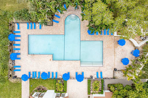 An aerial view of a pool surrounded by trees and blue umbrellas.