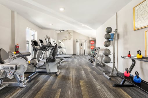 a gym with cardio machines and weights on the floor at South Lamar Village, Austin