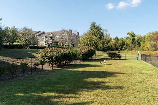 Fenced dog park with grass and trees at Wyndchase Aspen Grove Apartments, Franklin, Tennessee