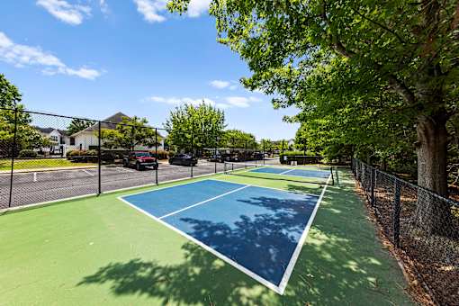 A tennis court surrounded by a fence and trees.