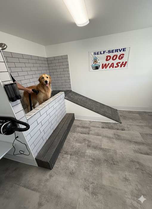 A dog is sitting on a bench in a self-serve dog wash.